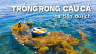 Trồng rong, câu cá, 'hái tiền' du lịch