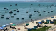 TP.HCM thực hiện tháng cao điểm chống khai thác thủy sản bất hợp pháp