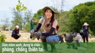 Gieo mầm xanh, dựng lá chắn phòng, chống thiên tai