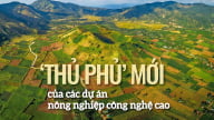 ‘Thủ phủ’ mới của các dự án nông nghiệp công nghệ cao