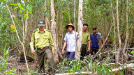 Hơn 50.000 ha rừng ở Cà Mau được phòng cháy nghiêm ngặt