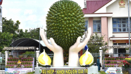 Ngũ Hiệp: Khánh thành biểu tượng sầu riêng, công bố nhãn hiệu tập thể