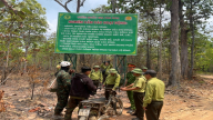 Kiểm lâm Đắk Lắk ngăn chặn khai thác lâm sản trái phép