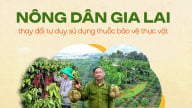 Nông dân Gia Lai thay đổi tư duy sử dụng thuốc bảo vệ thực vật