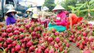 Đồng Tháp đặt mục tiêu tăng trưởng nông nghiệp 4,7% trong năm 2026