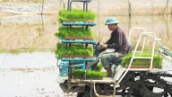 Không để việc sáp nhập đơn vị hành chính ảnh hưởng đến sản xuất hè thu