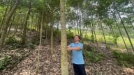 Từ người nông dân đa nghề đến 'hạt nhân' nông thôn mới ở Mường Cơi