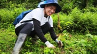 'Rừng xanh lên 2025': Chung tay hồi sinh rừng Tây Bắc