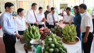 Sơn La: Chuyển mình bứt phá từ ba chương trình mục tiêu quốc gia