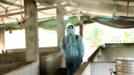 Sơn La chỉ đạo cấp bách phòng chống dịch bệnh động vật