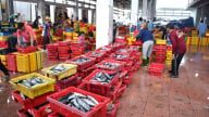 Mưu sinh giữa thời biển 'bạc'