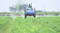 Những cỗ máy thay sức người cùng tám thập kỷ đổi thay trên đồng ruộng