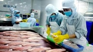 Xuất khẩu cá tra tăng vọt trước sức ép thuế quan