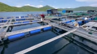 Nâng cao ý thức bảo vệ môi trường vùng nuôi trồng thủy sản: [Bài 2] Mỗi hộ dân là một tuyên truyền viên