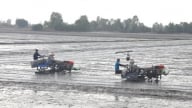 An Giang kỳ vọng lập kỷ lục trên 1,5 triệu tấn lúa vụ thu đông