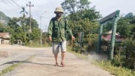 Quảng Bình khoanh vùng dịch tả lợn châu Phi, không để lây lan