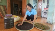 Khát vọng xanh nơi ‘bến đò giới tuyến’