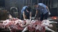 Gần 3 tấn thịt lợn dương tính nhiễm virus dịch tả lợn châu Phi