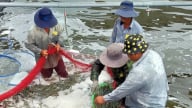 Chủ động thích ứng, vượt qua thách thức thuế của Hoa Kỳ