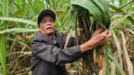 Phú Yên phấn đấu giảm hộ nghèo còn 1,42%