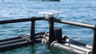 5 cá nhân đầu tiên được cấp phép nuôi biển từ 3-6 hải lý