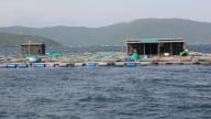 Lan tỏa bảo vệ môi trường nuôi trồng thủy sản: [Bài 1] Ngư dân chung tay