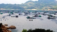 Động lực phát triển đột phá ngành thủy sản