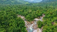 Mời gọi đầu tư du lịch sinh thái tại rừng phòng hộ Ninh Hòa-Vạn Ninh