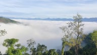 Cơ hội đầu tư du lịch sinh thái rừng Cam Lâm-Cam Ranh-Khánh Sơn