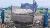 Đắk Lắk tiêu hủy 1.086 con lợn mắc dịch tả lợn Châu Phi