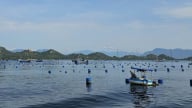 Lập lại trật tự nuôi trồng thủy sản trên vịnh Cam Ranh