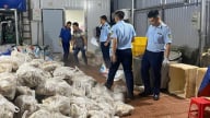 Hà Nội: Nhiều hạn chế trong công tác kiểm tra thực phẩm ‘bẩn’
