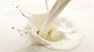 Nhập khẩu sữa tăng mạnh
