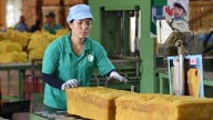 VRG - Bản lĩnh vượt khó, sẵn sàng cho sức bật mới