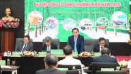 VRG đặt mục tiêu tổng doanh thu hơn 31 nghìn tỷ đồng năm 2025