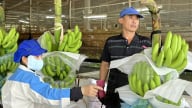 Thúc đẩy xuất khẩu nông sản: Xúc tiến thương mại và gỡ vướng thuế GTGT