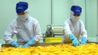 Xuất khẩu rau quả Việt Nam 6 tháng đạt trên 3 tỷ USD