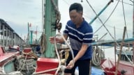 Nghệ An cấm tàu thuyền ra khơi từ ngày 24/8 để ứng phó bão số 5