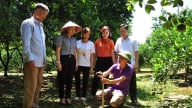 Tưới thông minh cho cây ăn quả: Một nghị quyết thay đổi 765 ha
