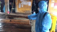 Tuyên Quang: 5 xã đã kiểm soát được dịch tả lợn Châu Phi