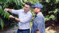 SHOGUN® 20SC - Giải pháp kiểm soát nhện đỏ, nâng cao chất lượng nông sản đến từ Nhật Bản