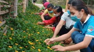 Phụ nữ Tủa Chùa hành động vì môi trường