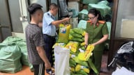 Tiêu hủy gạo và bao bì giả mạo nhãn hiệu ST25