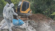 Đắk Lắk lập 4 chốt kiểm dịch phòng, chống dịch tả lợn Châu Phi