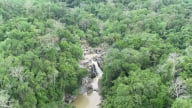 Gian nan bảo vệ rừng Ea Sô