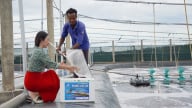 Nuôi tôm bền vững: Giải pháp từ con giống chất lượng và công nghệ sinh học