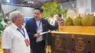 Cơ hội vàng cho hàng hóa Việt Nam mở rộng thị trường, kết nối toàn cầu
