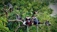 Sống hài hòa với thiên nhiên và phát triển bền vững