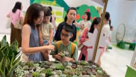 ‘Đổi đồ cũ lấy cây’: Lan tỏa lối sống xanh, bảo vệ môi trường