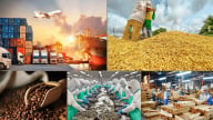 Việt Nam xuất siêu 7,63 tỷ USD trong nửa đầu năm 2025